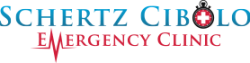 Schertz Cibolo Emergency Clinic