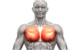 Can a pulled muscle cause chest pain?