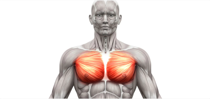 Can a pulled muscle cause chest pain?